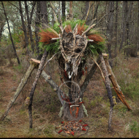 Voodoo Forest S Spirit 0 Voodoo Forest S Spirit 0