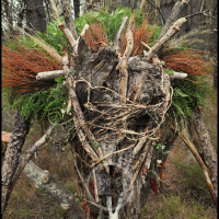 Voodoo Forest S Spirit 10 Voodoo Forest S Spirit 10