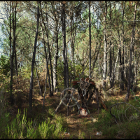 Voodoo Forest S Spirit 11 Voodoo Forest S Spirit 11