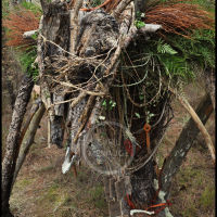 Voodoo Forest S Spirit 12 Voodoo Forest S Spirit 12