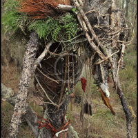 Voodoo Forest S Spirit 13 Voodoo Forest S Spirit 13