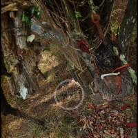 Voodoo Forest S Spirit 14 Voodoo Forest S Spirit 14