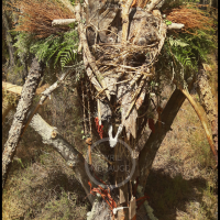 Voodoo Forest S Spirit 17 Voodoo Forest S Spirit 17