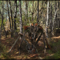 Voodoo Forest S Spirit 19 Voodoo Forest S Spirit 19