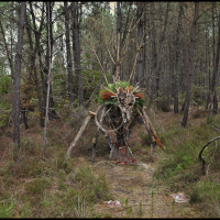 Voodoo Forest S Spirit 2 Voodoo Forest S Spirit 2