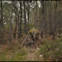 Voodoo Forest S Spirit 3 Voodoo Forest S Spirit 3