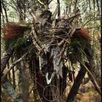 Voodoo Forest S Spirit 4 Voodoo Forest S Spirit 4