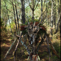 Voodoo Forest S Spirit 5 Voodoo Forest S Spirit 5