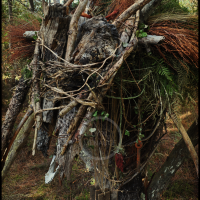 Voodoo Forest S Spirit 6 Voodoo Forest S Spirit 6