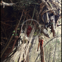 Voodoo Forest S Spirit 8 Voodoo Forest S Spirit 8