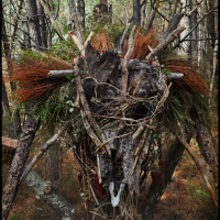 Voodoo-Forest’s-Spirit-1 Voodoo-Forest’s-Spirit-1